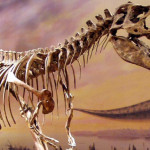 7700萬年恐龍骨架化石預備進行拍賣