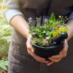 讓植物療癒你！　最新研究證實：養花蒔草有益心理健康