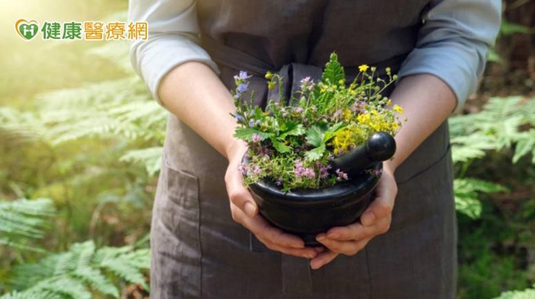 讓植物療癒你！　最新研究證實：養花蒔草有益心理健康