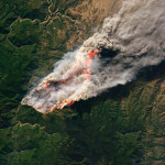 森林火災上升是全球碳市場的永久風險
