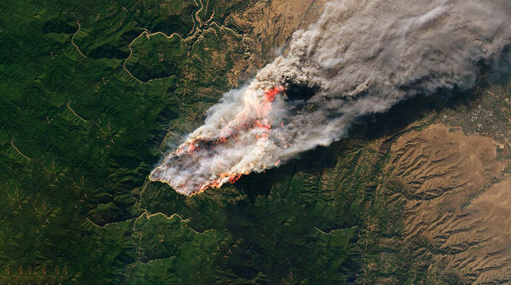 森林火災上升是全球碳市場的永久風險