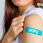 年底健康大盤點　別忘記HPV預防