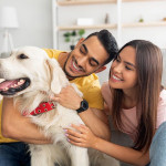 什麼時候應該為您的愛犬購買寵物保險？