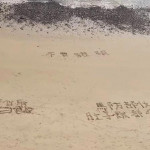「沙灘爆料」淪「空飄傳單」-抗中保臺的軍備假象
