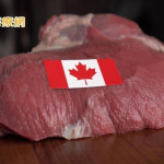 加拿大牛肉遭疑查核不完整　薛瑞元：有系統性評估