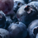 遇到冷凍藍莓感染A型病毒，你要知道的事！