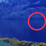 尼斯湖水怪真現身！專家曝「至今最有力證據」　推估「至少7.62公尺」游動方式全拍到