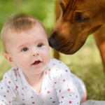 最新研究 : 嬰兒期有寵物相伴的孩子不容易食物過敏