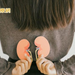 台灣洗腎王國　腎氣不足恐連帶影響膀胱與心臟