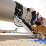 專門設計給狗狗搭的飛機來了！寵物「擬人化」商機正夯，迎賓飲料牠也有一份