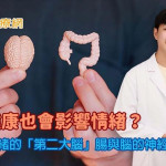 腸道健康也會影響情緒？古代智慧與現代醫學皆可解釋