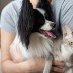 寵物照顧省錢妙招