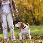 毛孩寄生蟲防護指南