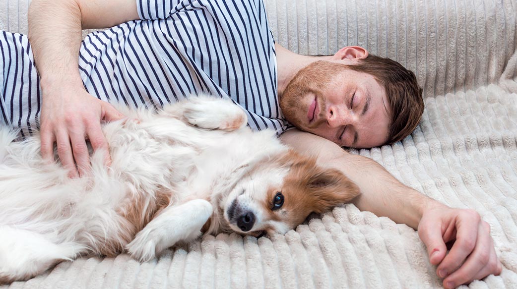 中國、日本和澳洲引領亞太寵物市場成長