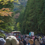 日本森林浴：沉浸大自然的減壓練習