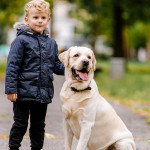 將愛犬稱為「毛孩」可是有著科學根據