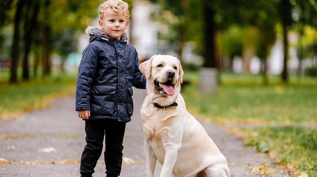將愛犬稱為「毛孩」可是有著科學根據