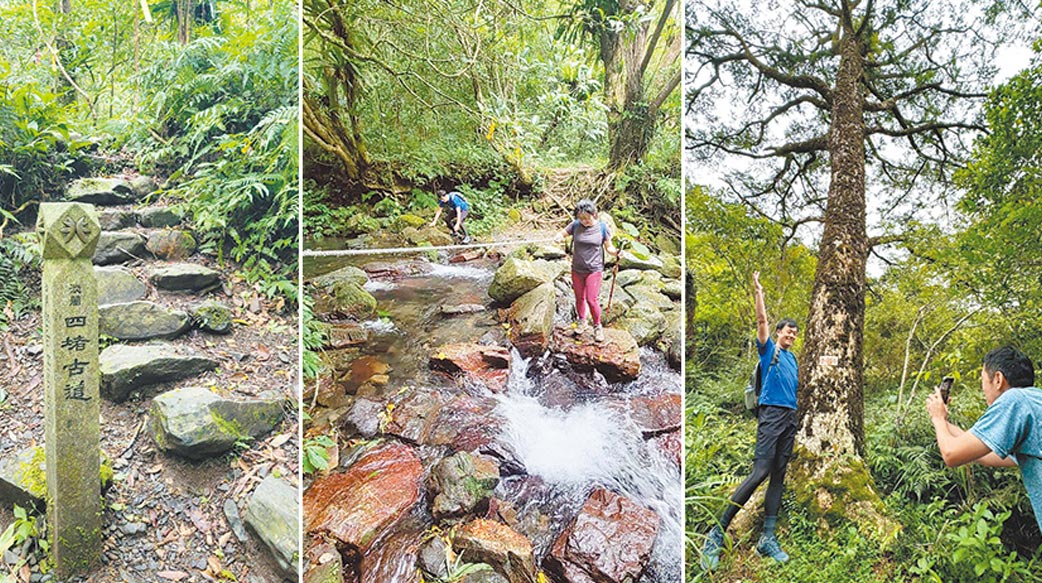 享受安息：淡蘭南路三人行