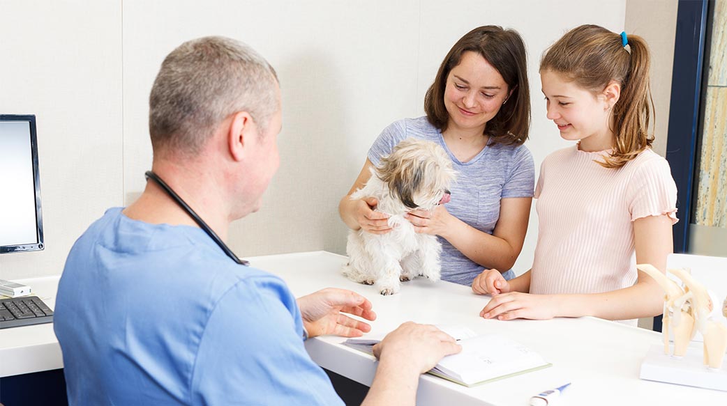 中國年輕人寧養寵物不生子