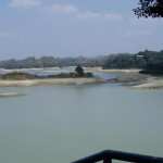 用口水無法洗科學問題的地！