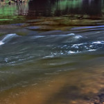 規劃沐浴水域是為了降低河川汙染