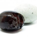 鹽、鹼滲透後，新鮮蛋變成了鹹蛋與皮蛋