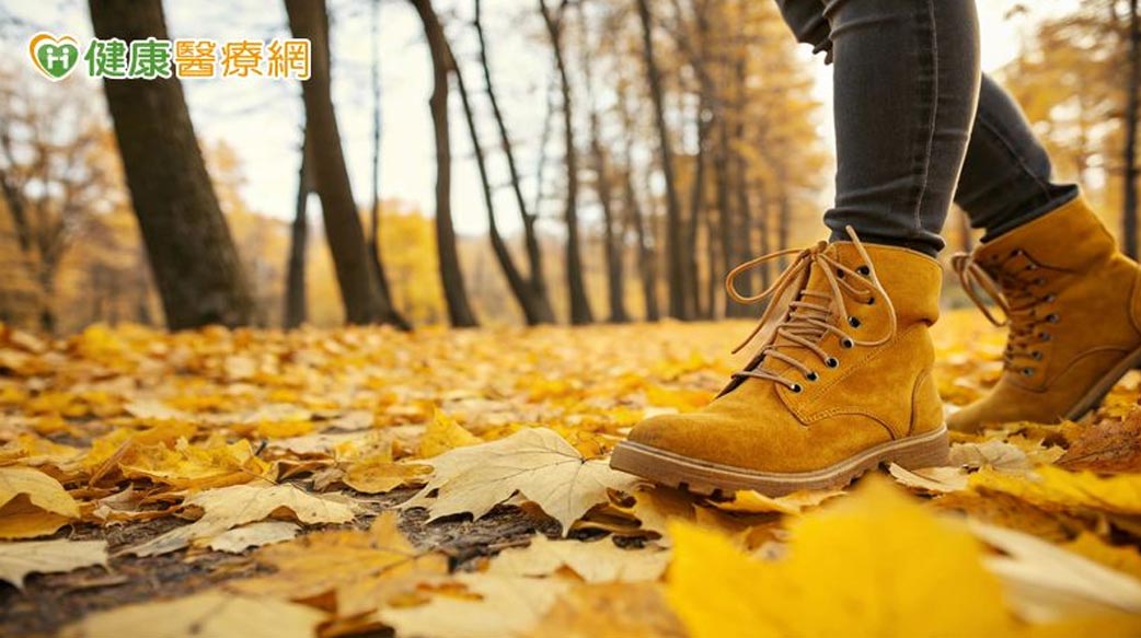 散步能養大腦？10年追蹤研究：長期步行者反應更快　認知功能更清晰