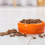 業者藉「寵物人性化」趨勢加速成長