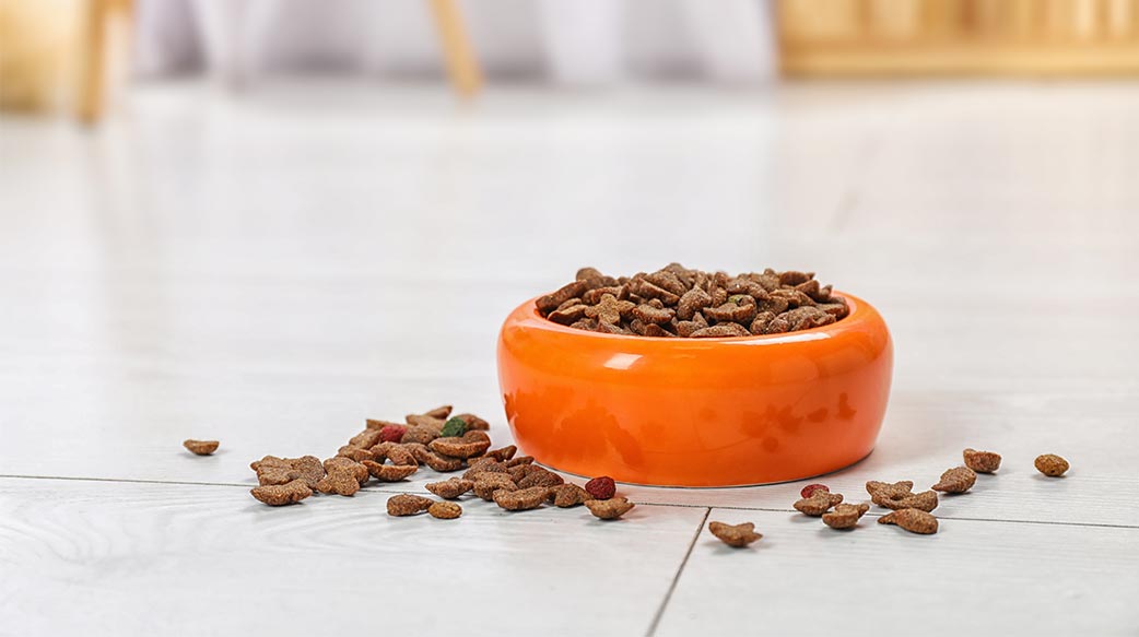 業者藉「寵物人性化」趨勢加速成長