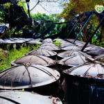 從森林到腳下的每一步：十安以善行健走　展現永續實踐力