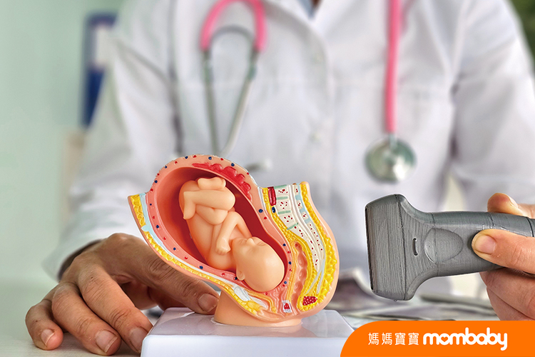 A,Healthcare,Provider,Is,Using,An,Ultrasound,Scanner,On,A