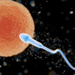 捐精者精子缺陷，導致上百名新生兒自帶癌症基因