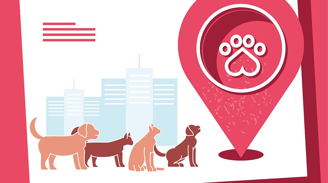 犬蹤地圖下載了嗎？拍照上傳協助蒐集遊蕩犬資訊