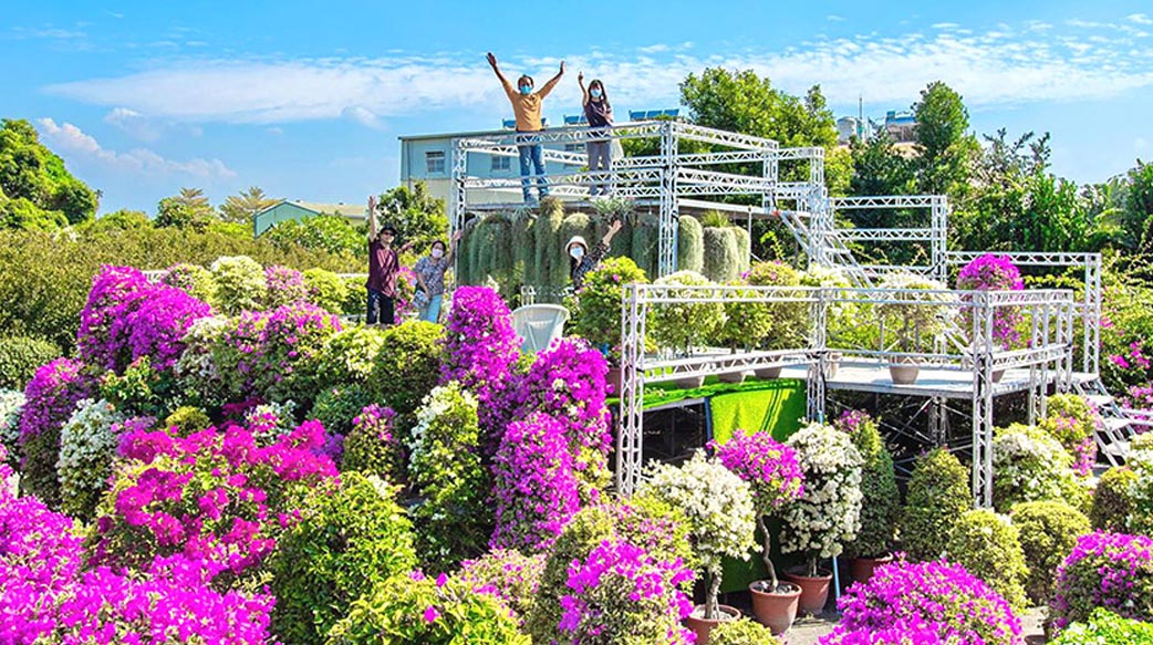走進田尾花鄉 看花開、聞花香 讀懂植物與生命的心意
