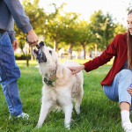 亞太區寵物飼養新趨勢