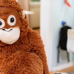 因為Punch，Ikea絨毛玩偶出現搶購潮