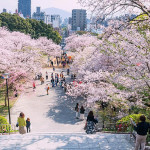 走讀九州山海慢旅行──阿蘇火山口、高千穗峽與福岡城