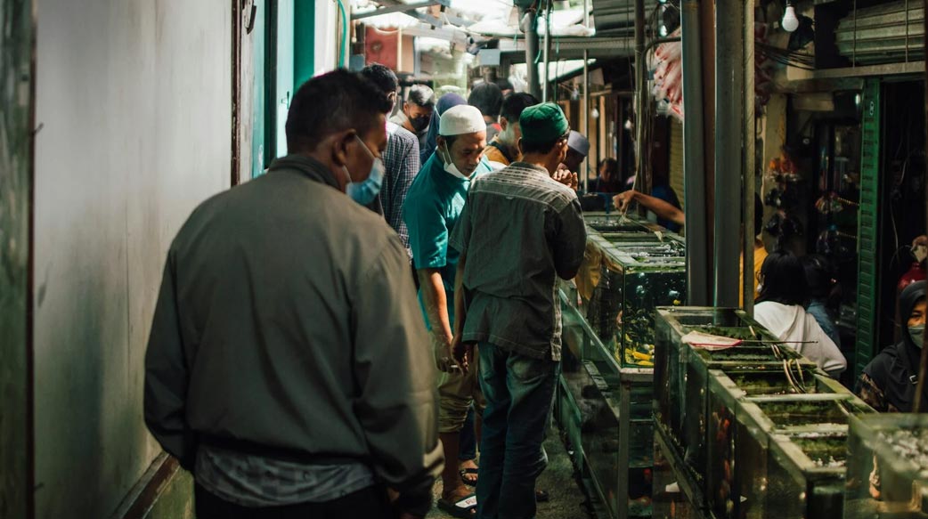 【逾 200 萬台機器人上線】中國製造業全面升級，基層勞工反陷失業困境