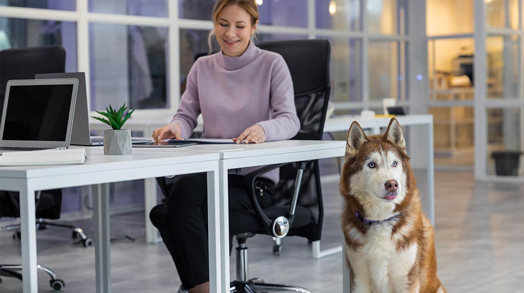 遠端工作重塑寵物趨勢