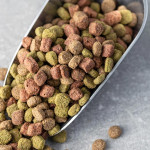 寵物食品替代蛋白新突破