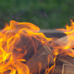 燒木頭發電恐加劇地球暖化