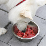 南非寵物產業大洗牌