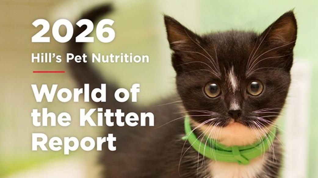 終身健康藍圖：Hill's《World of the Kitten Report》助獸醫團隊及寵物主人掌握關鍵首年發展