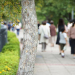 「人車共用」人行道是人本交通的倒退