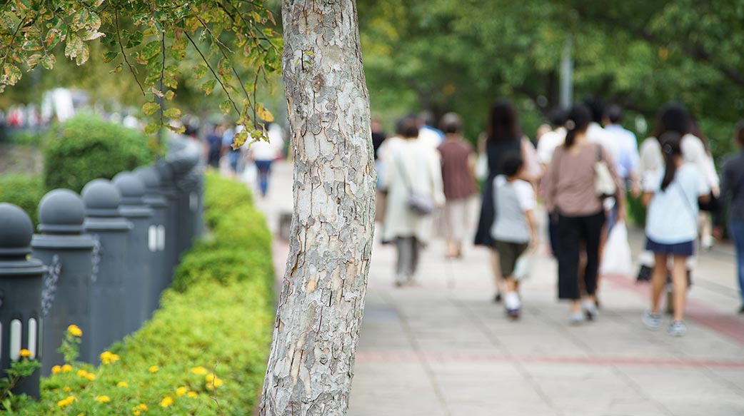「人車共用」人行道是人本交通的倒退