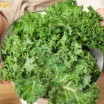 營養師列羽衣甘藍4健康益處！加1物吃助營養吸收　這類人食用要注意