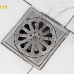洗完頭發現排水孔都是頭髮？中醫解析4大掉髮類型　圓形禿別輕忽
