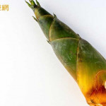 綠竹筍怎麼挑？專家：高纖助消化　多吃但少做1事小心腹脹、便祕
