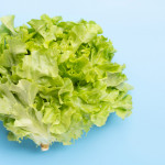 寄生蟲疫情重創美國生菜沙拉名店