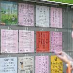 新北房東注意！舊租約到期不是續簽就好　少「1步驟」房屋稅恐增逾兩倍